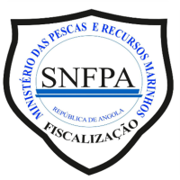 Parceiro 4